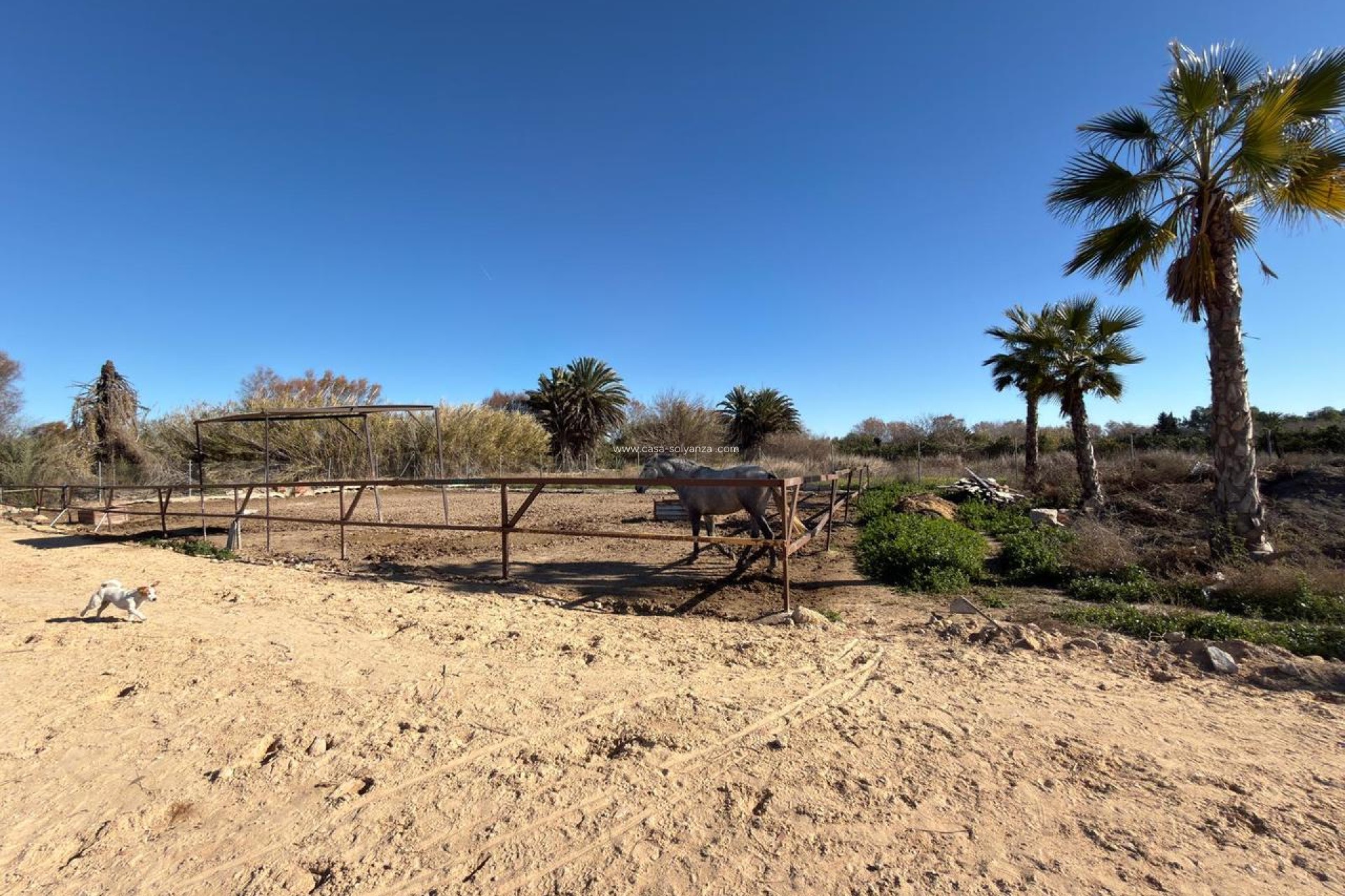 Reventa - Land - Algorfa - Inland