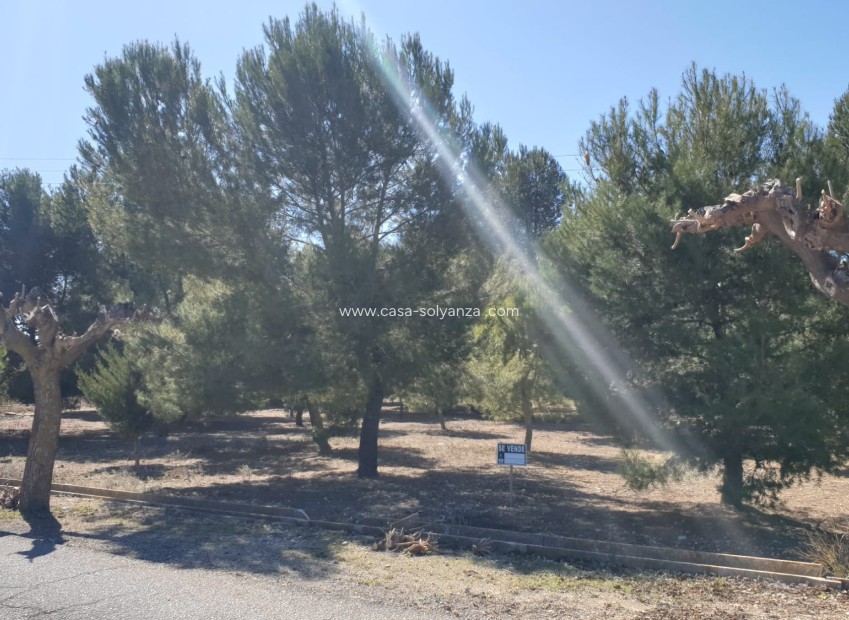 Reventa - Land - Beneixama - Inland