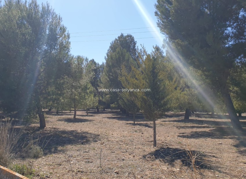 Reventa - Land - Beneixama - Inland