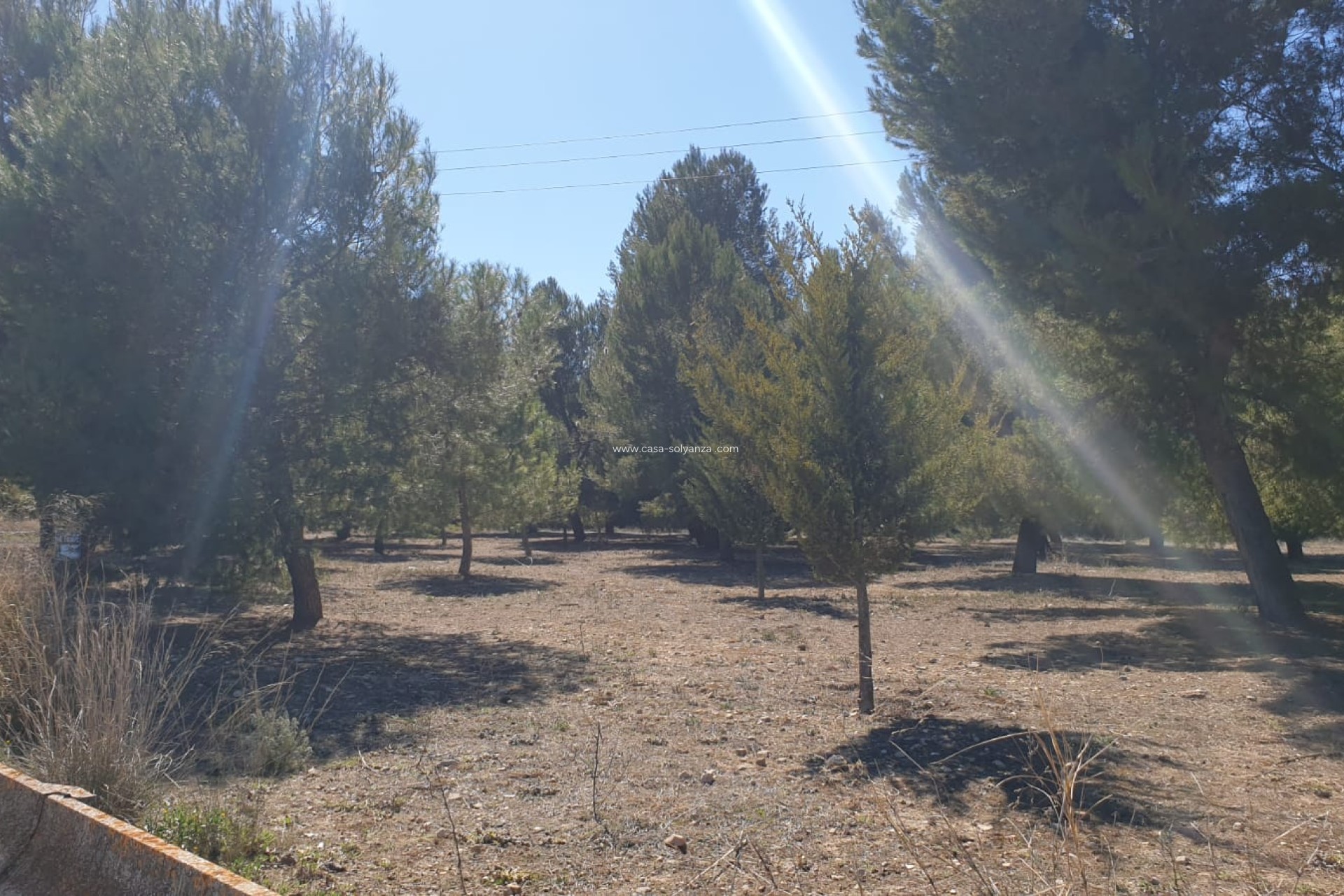 Reventa - Land - Beneixama - Inland