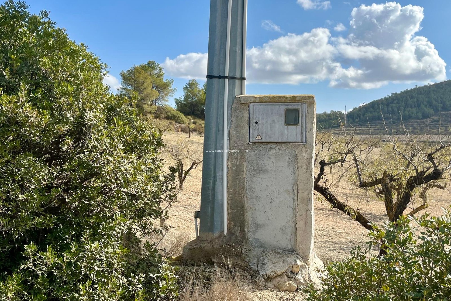 Reventa - Land - Bullas - Costa Calida