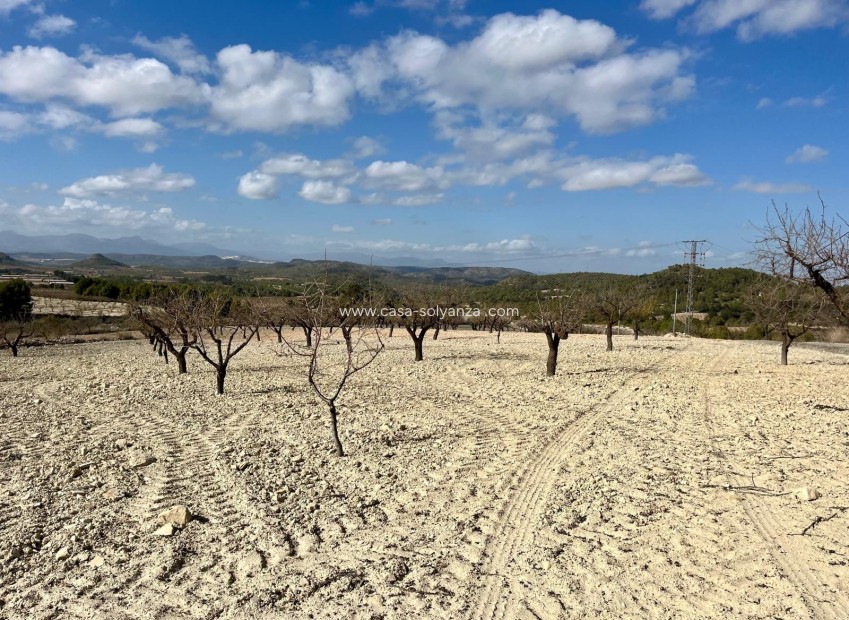 Reventa - Land - Bullas - Inland