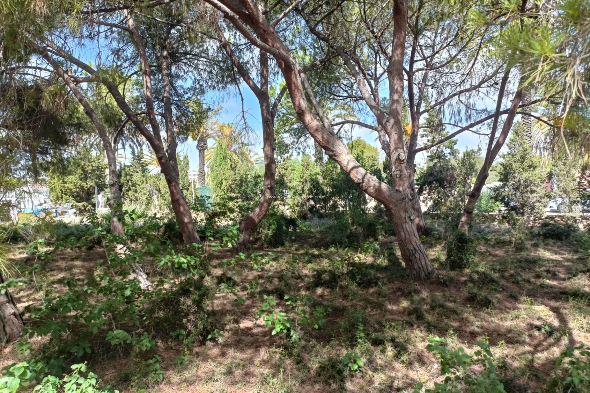 Reventa - Land - Cabo Roig - Costa Blanca