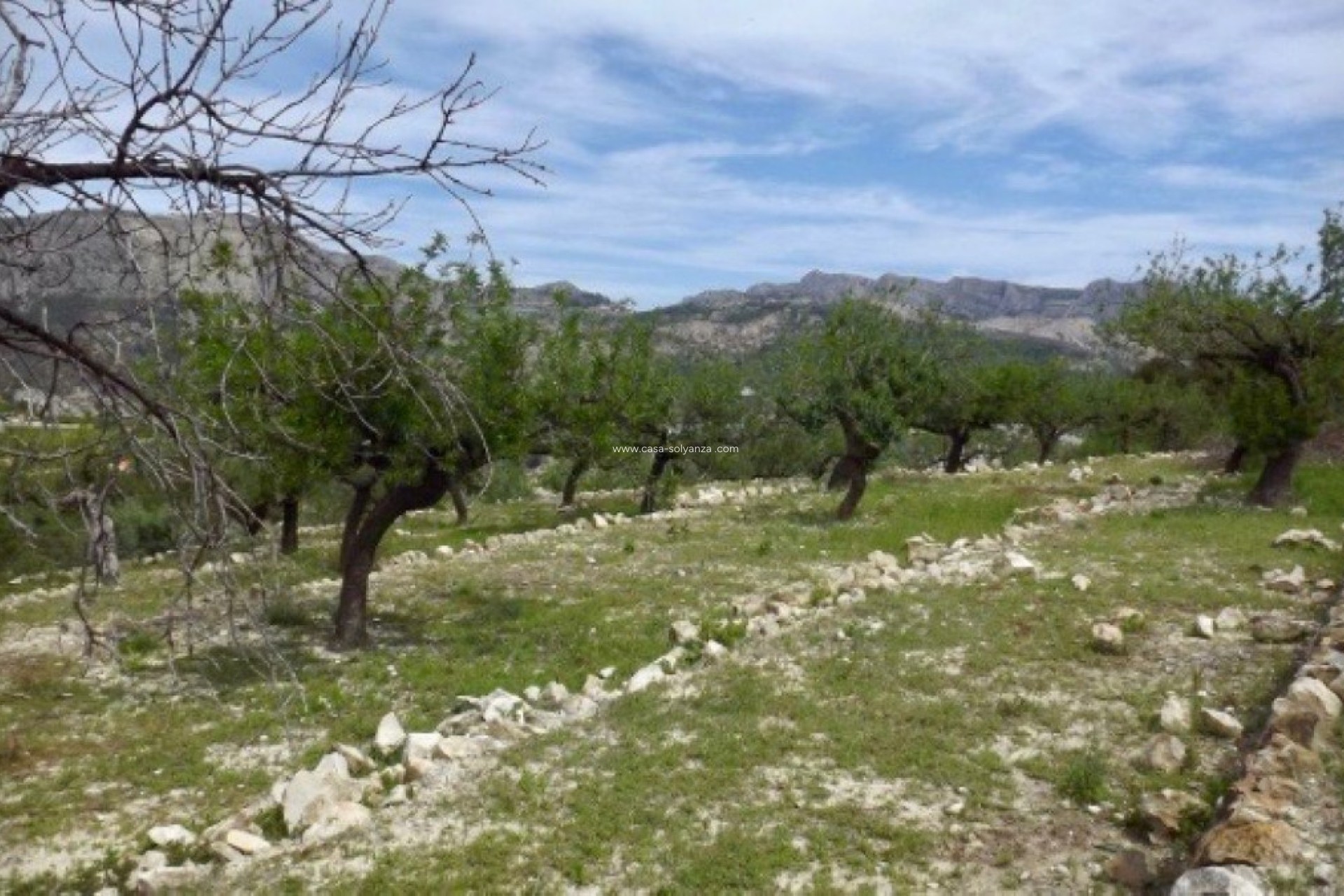 Reventa - Land - Callosa d'en Sarria - Callosa d'en Sarria Centro