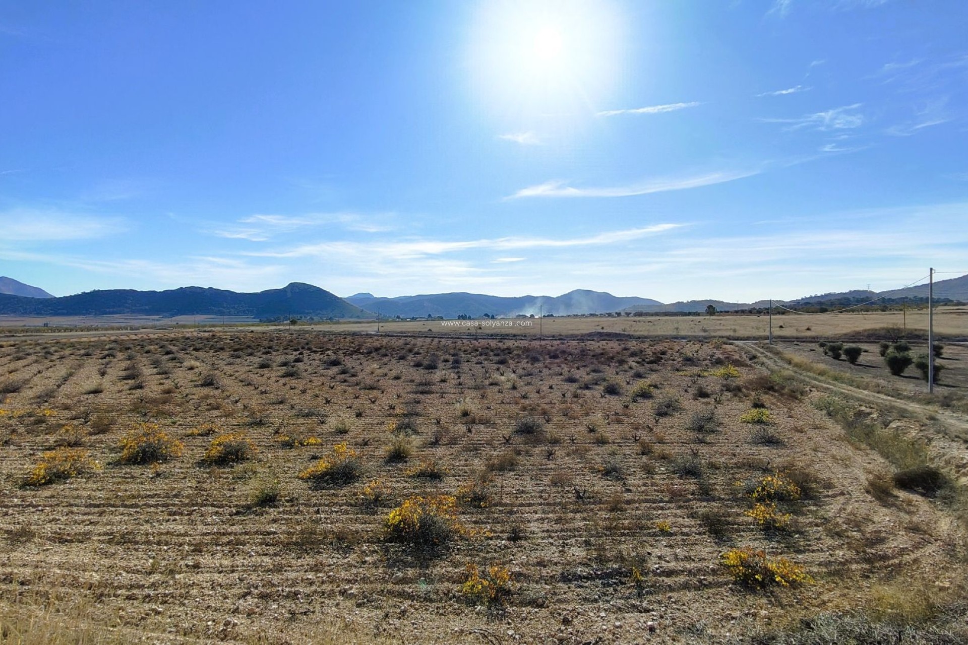 Reventa - Land - Canada del Trigo - Inland