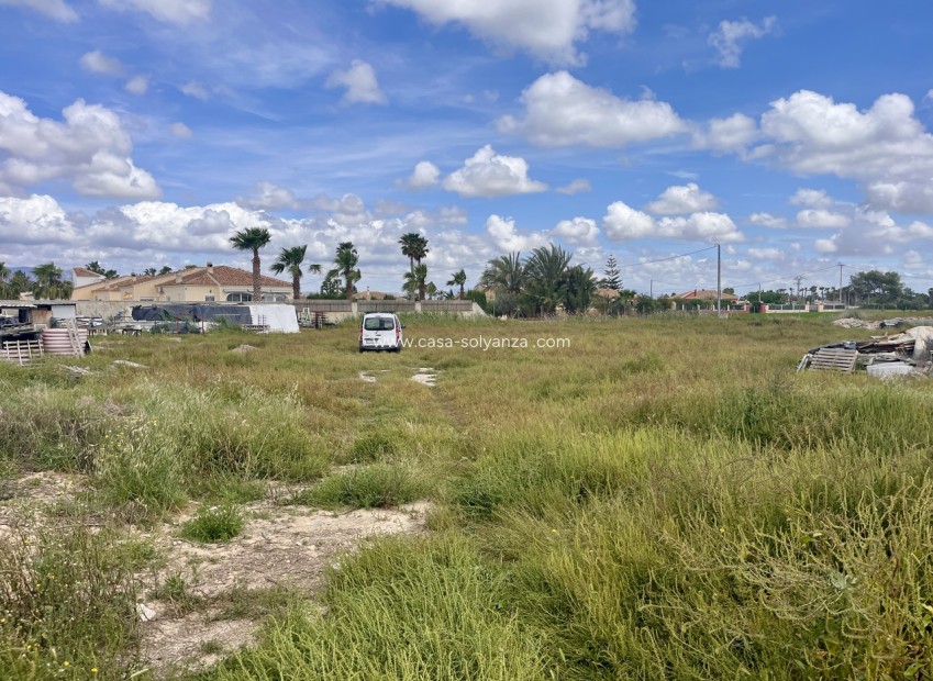 Reventa - Land - Catral - Costa Blanca