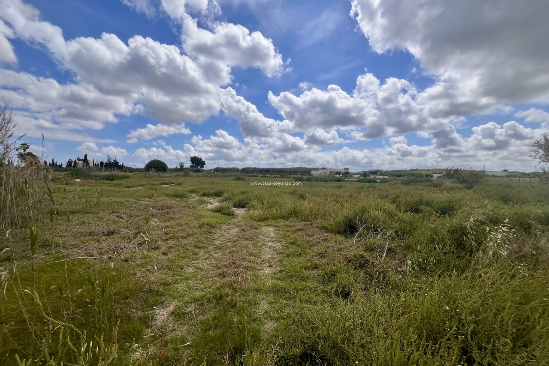 Reventa - Land - Catral - Costa Blanca