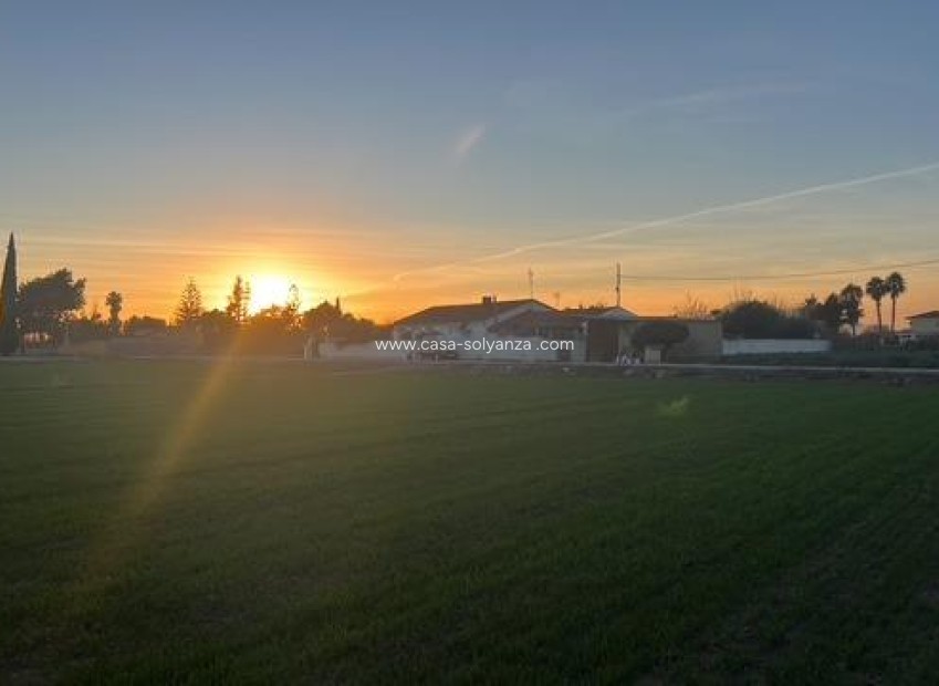 Reventa - Land - Dolores - Comunidad Valenciana