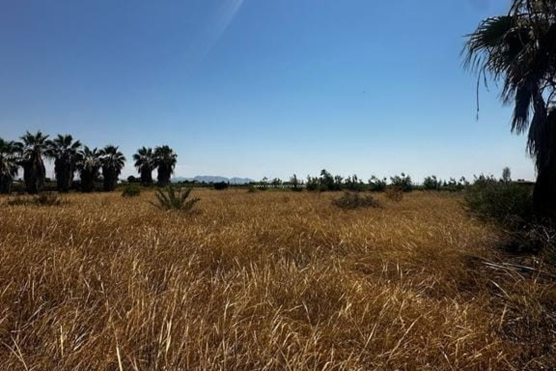 Reventa - Land - Elche - Costa Blanca