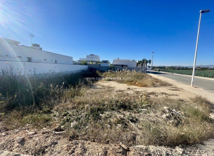 Reventa - Land - Formentera de Segura - Costa Blanca