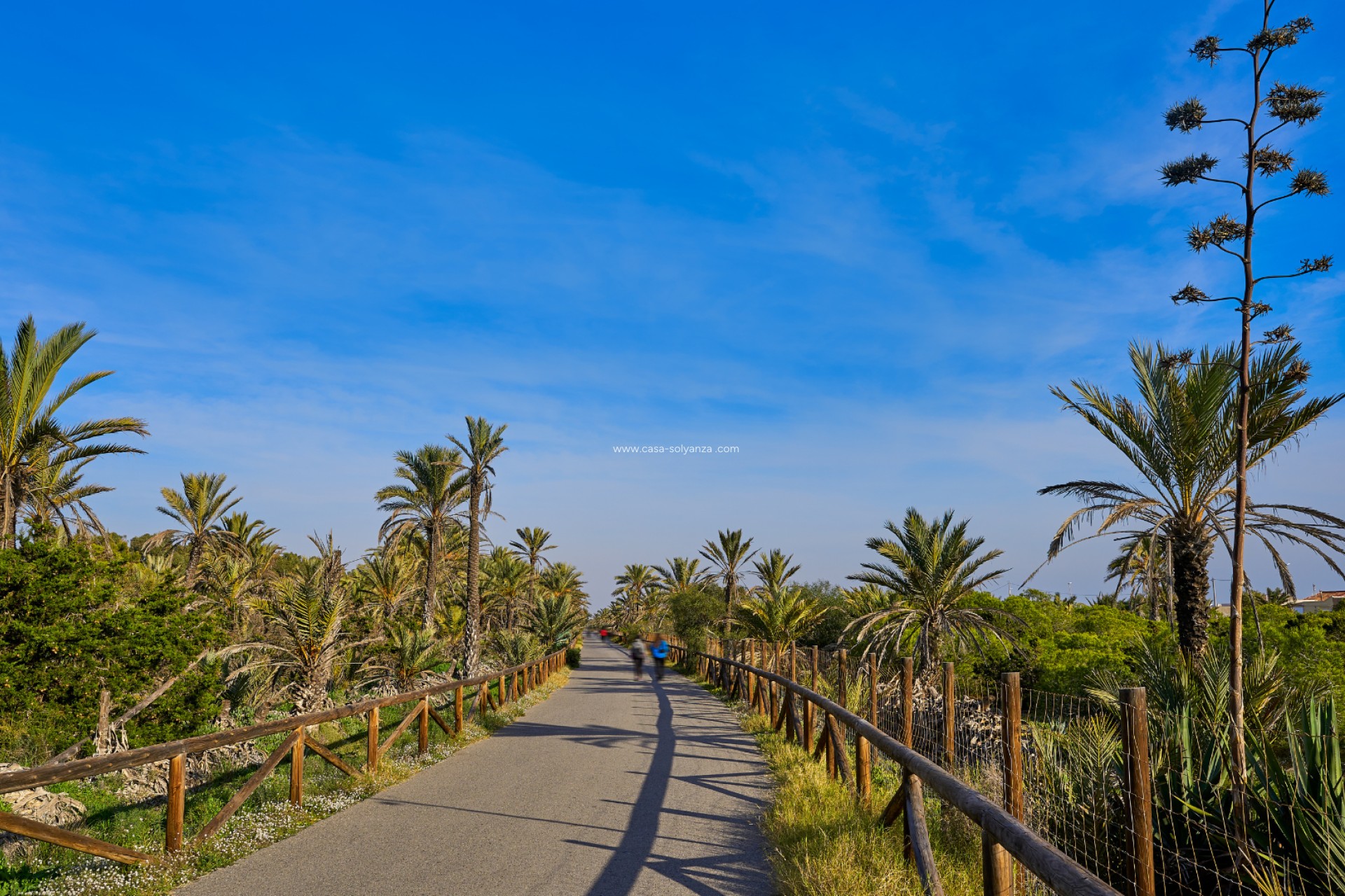 Reventa - Land - Guardamar del Segura