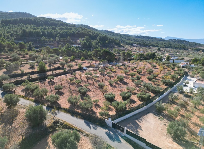 Reventa - Land - Ibi - Costa Blanca