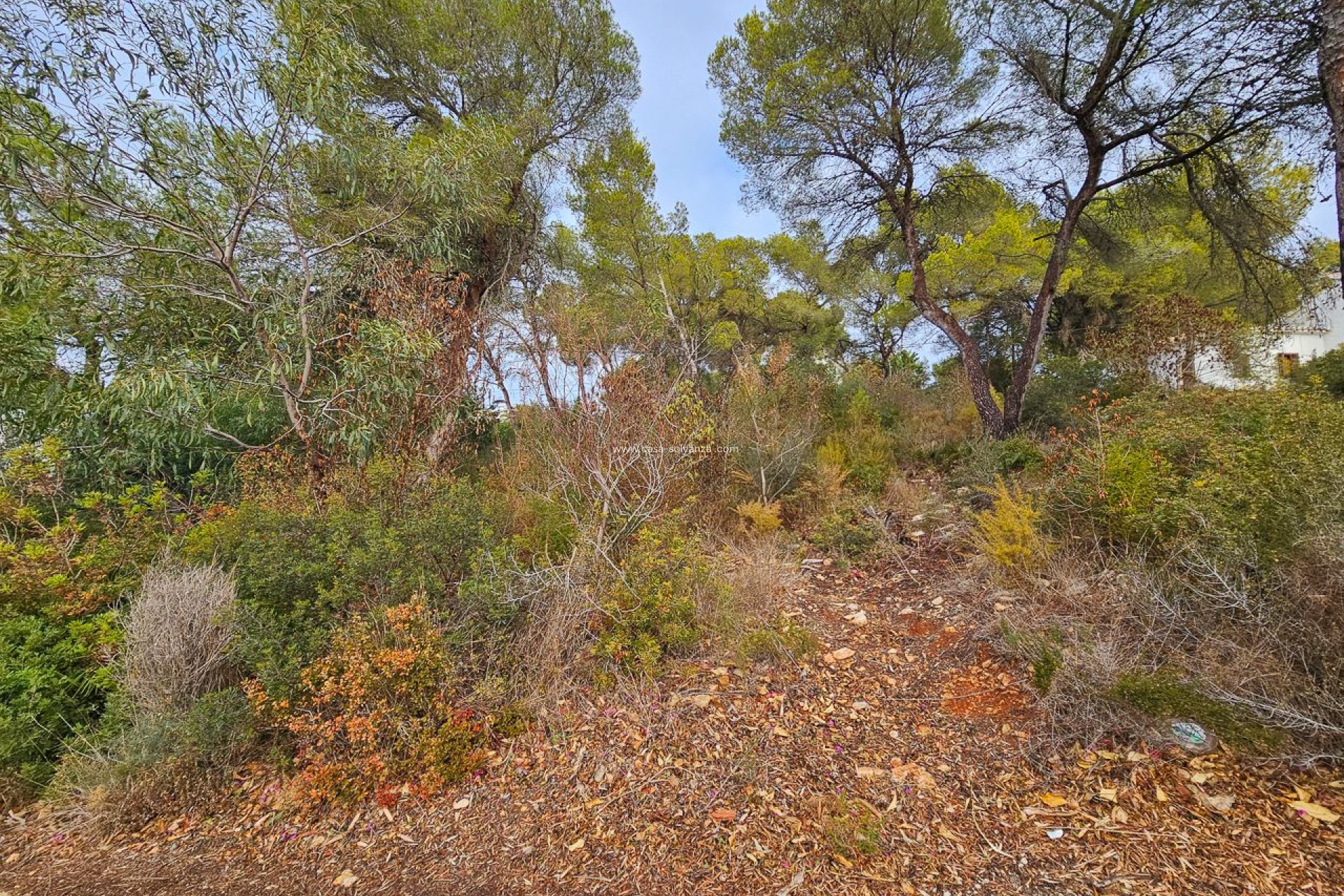 Reventa - Land - Jávea - Costa Blanca