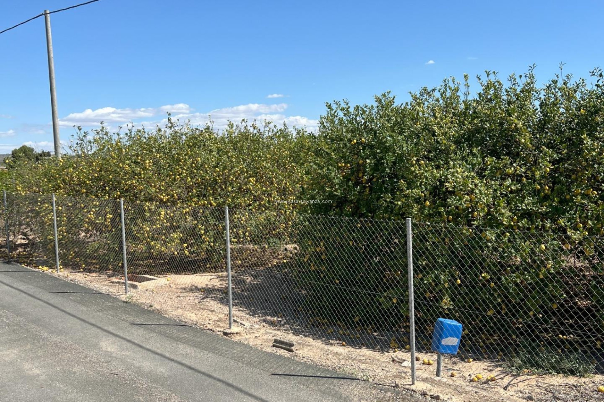 Reventa - Land - Los Montesinos - Los Perez
