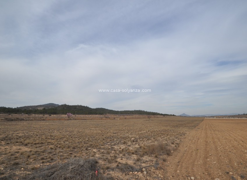 Reventa - Land - Monóvar - Inland