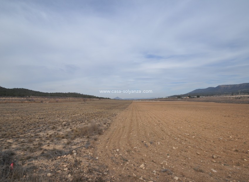 Reventa - Land - Monóvar - Inland