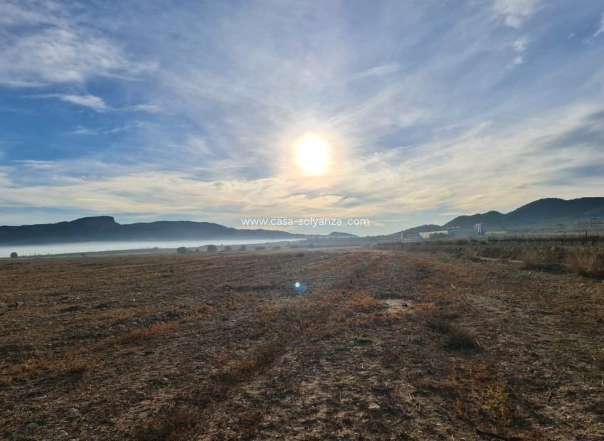 Reventa - Land - Monóvar - Inland