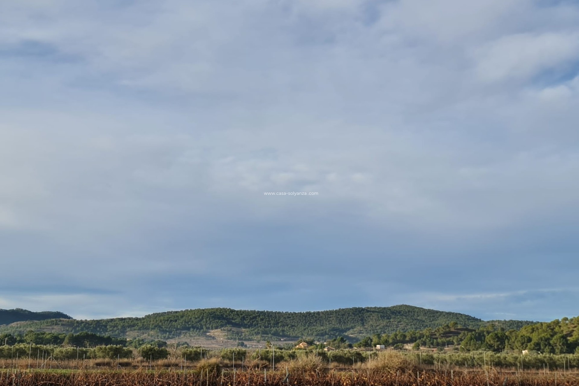 Reventa - Land - Monóvar - Inland
