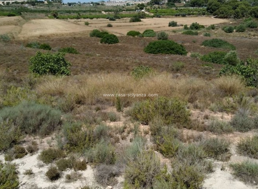 Reventa - Land - Pinar de Campoverde - Inland