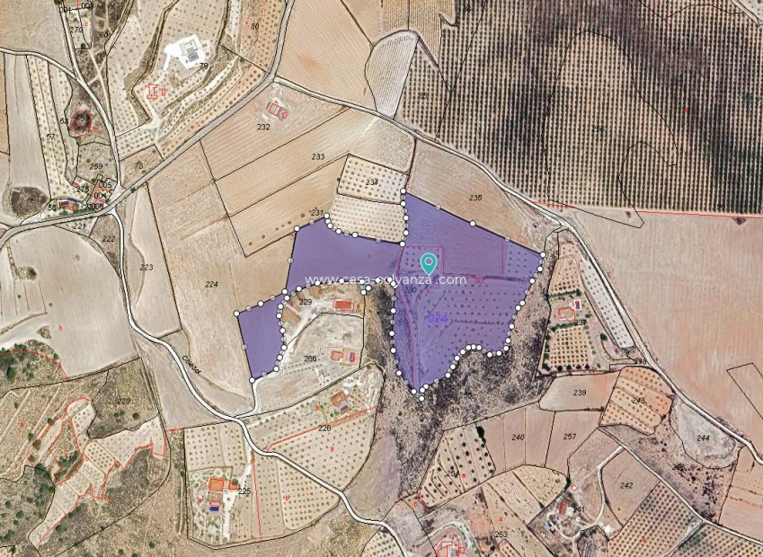 Reventa - Land - Pinoso - Inland