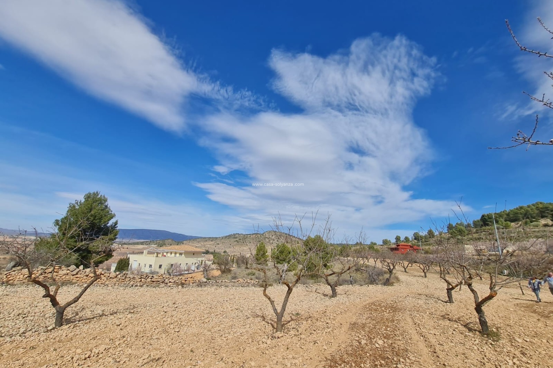 Reventa - Land - Pinoso - Inland