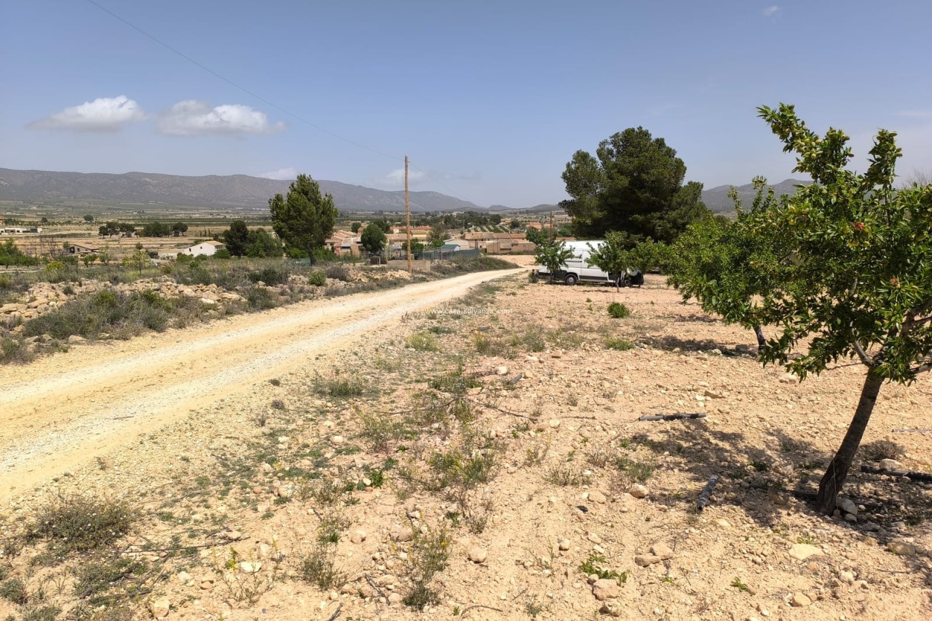 Reventa - Land - Pinoso - Inland