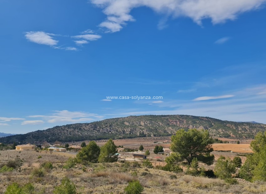 Reventa - Land - Pinoso - Inland