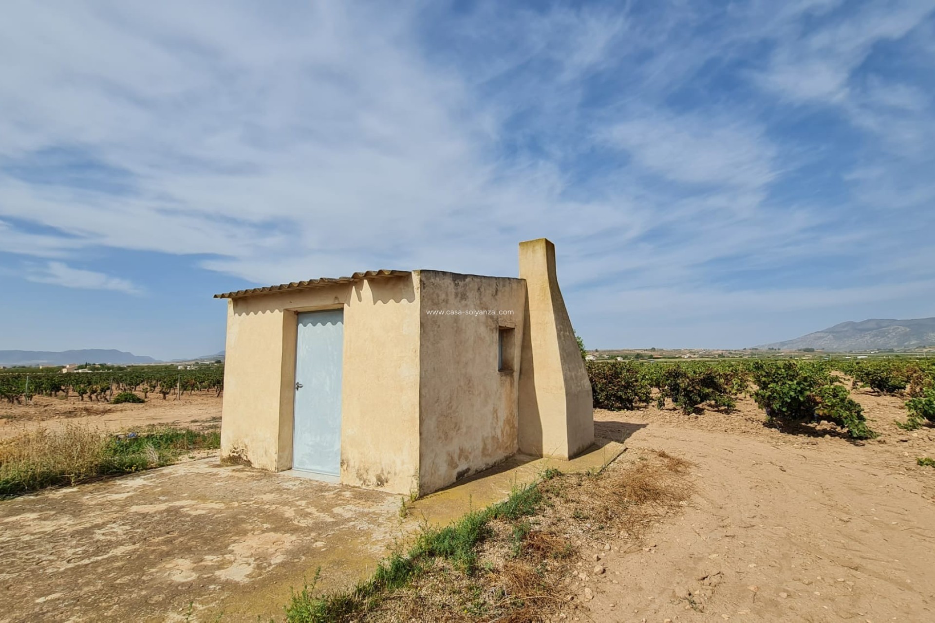 Reventa - Land - Pinoso - Inland