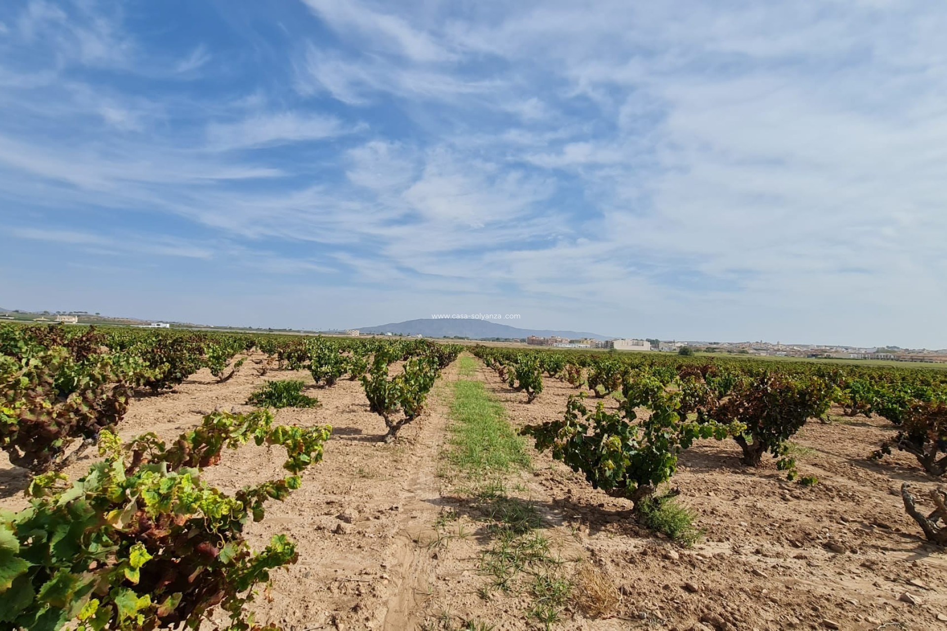 Reventa - Land - Pinoso - Inland