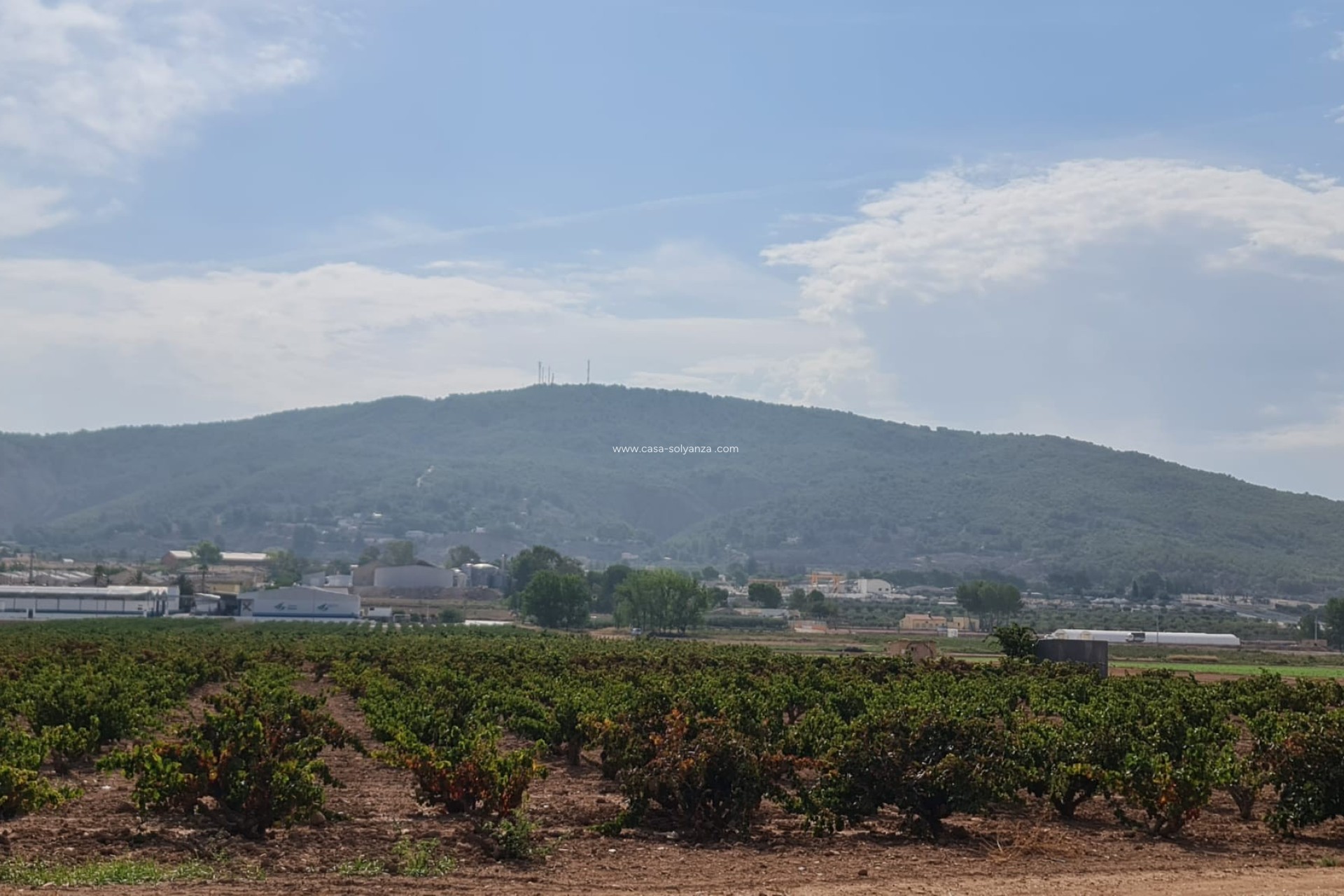 Reventa - Land - Pinoso - Inland