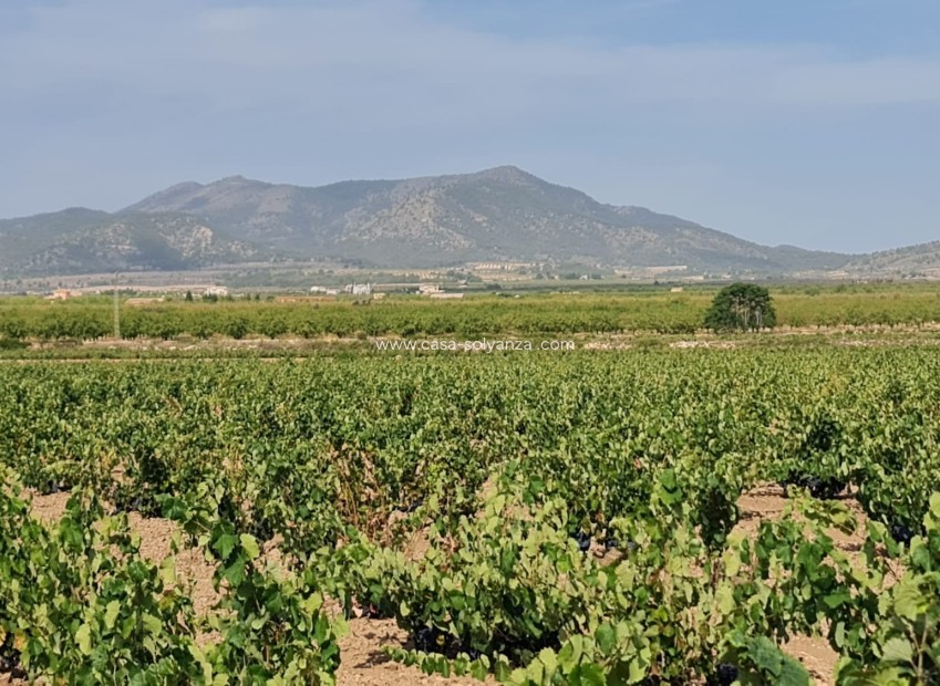 Reventa - Land - Pinoso - Inland