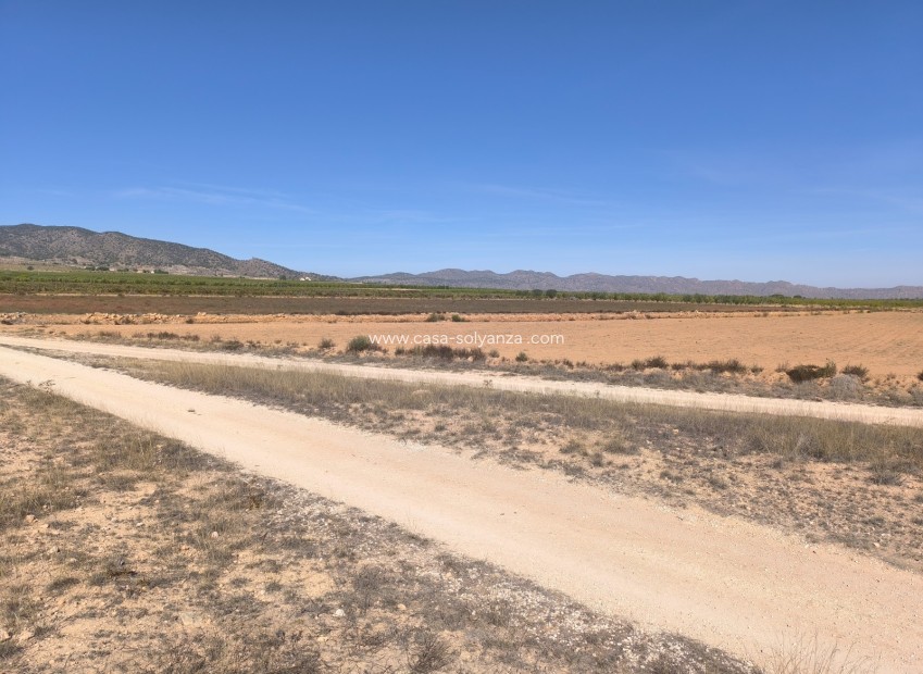 Reventa - Land - Pinoso - Inland