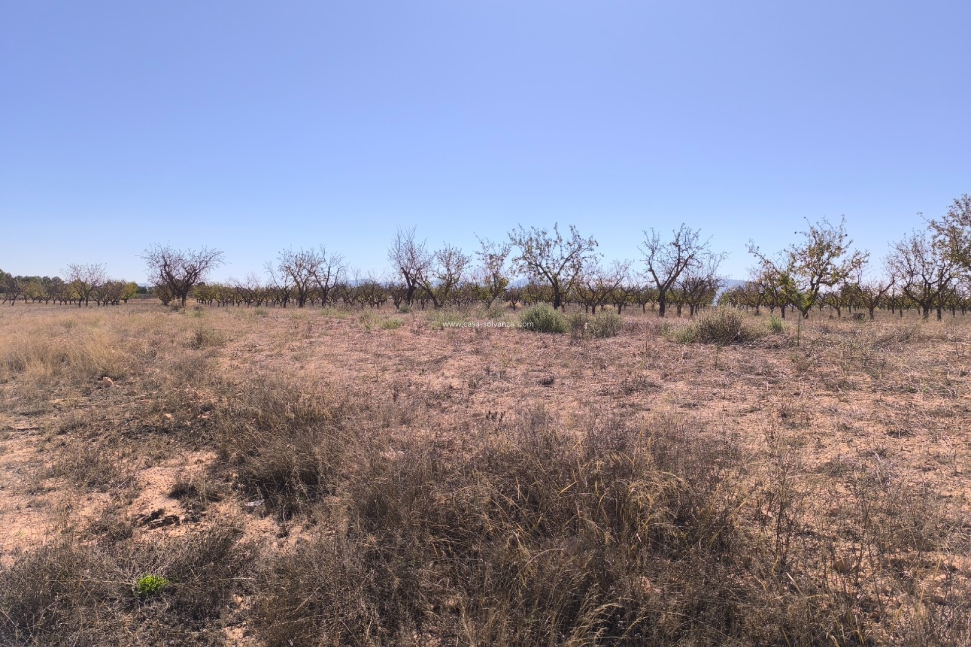 Reventa - Land - Pinoso - Inland