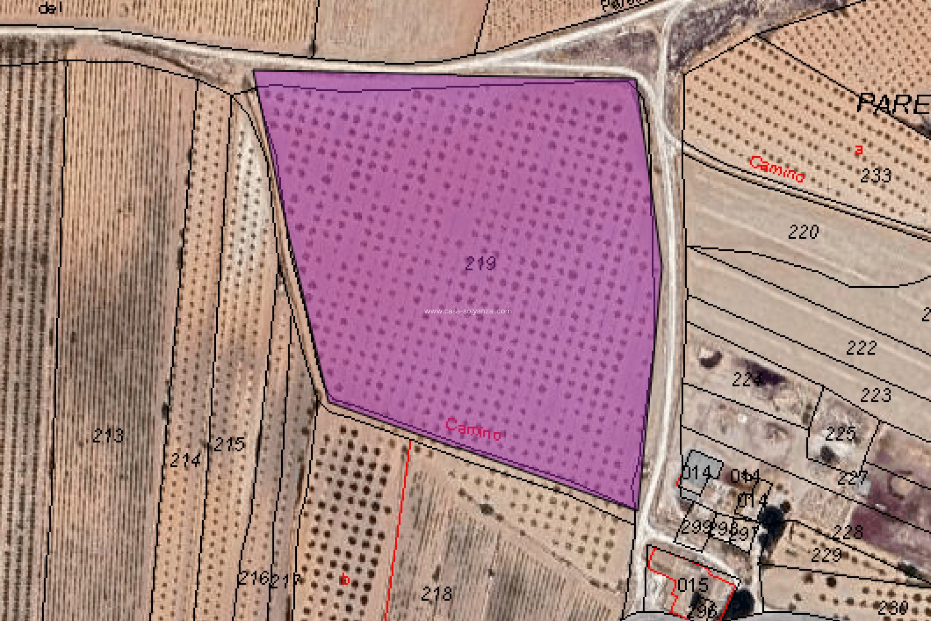 Reventa - Land - Pinoso - Inland