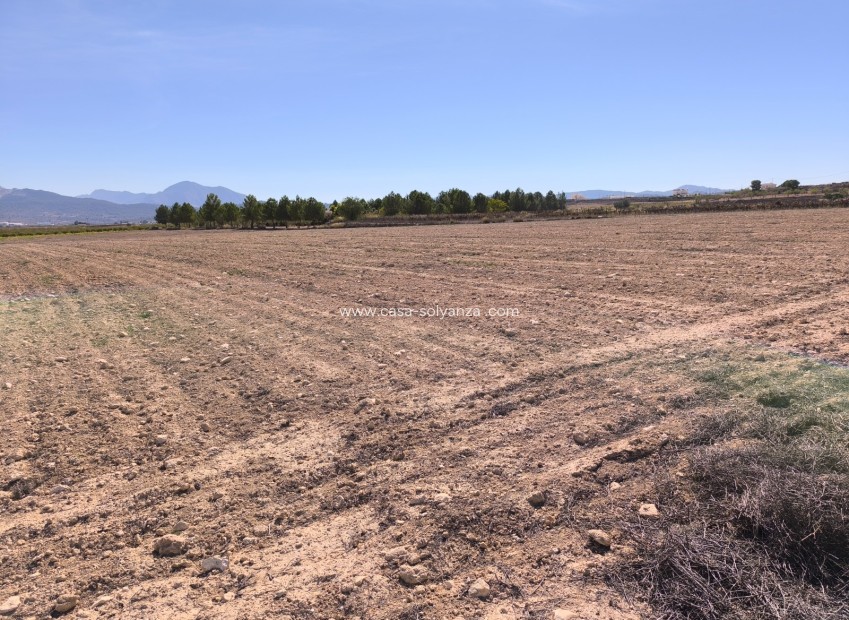 Reventa - Land - Pinoso - Inland