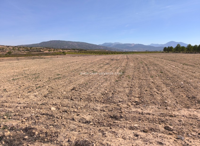 Reventa - Land - Pinoso - Inland