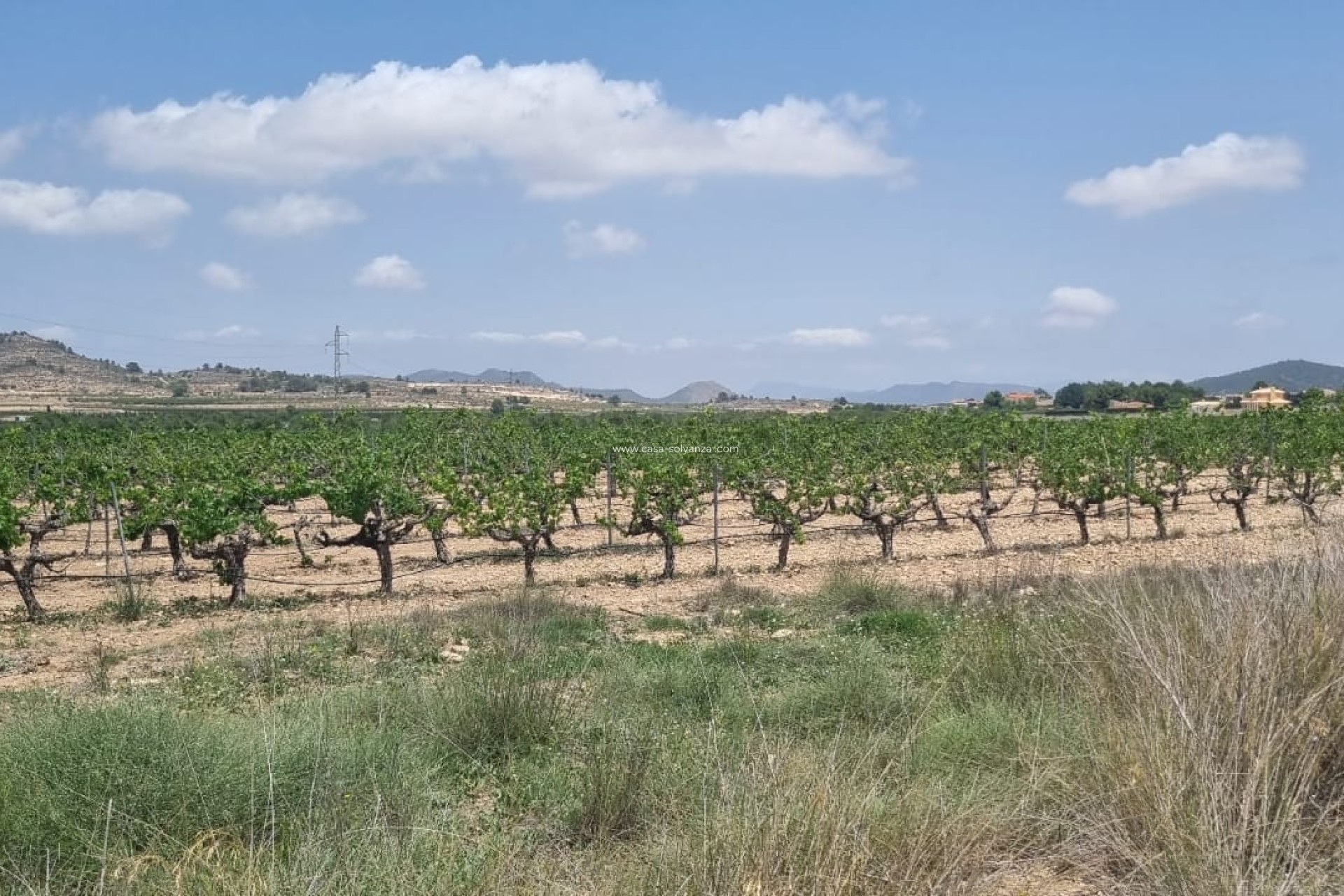 Reventa - Land - Pinoso - Inland