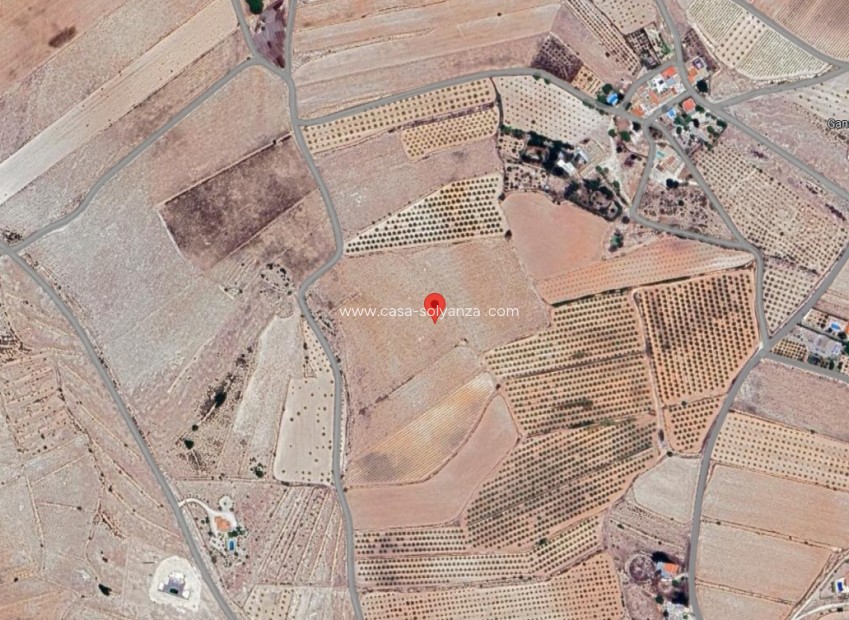 Reventa - Land - Pinoso - Inland