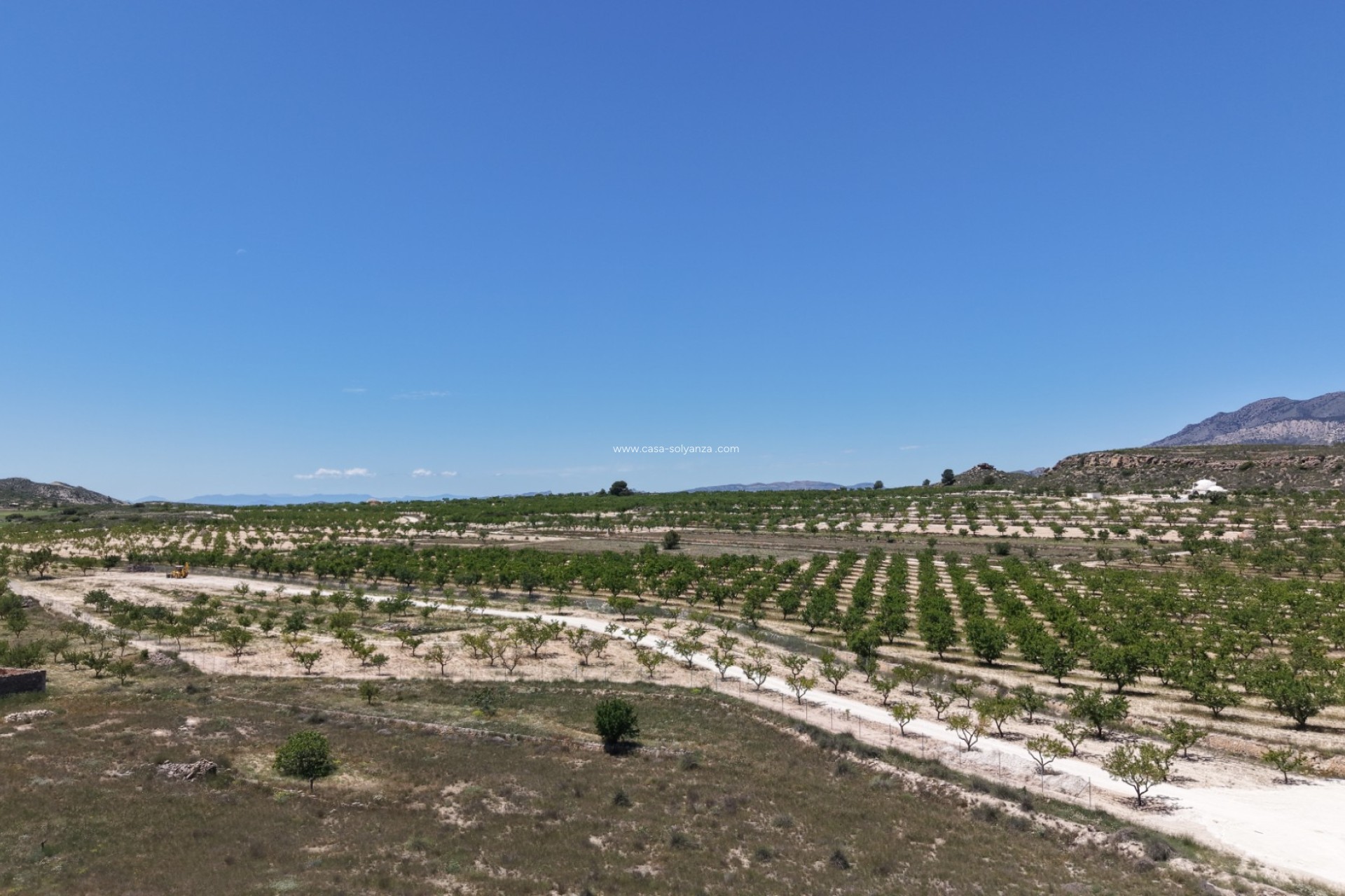 Reventa - Land - Pinoso - Inland