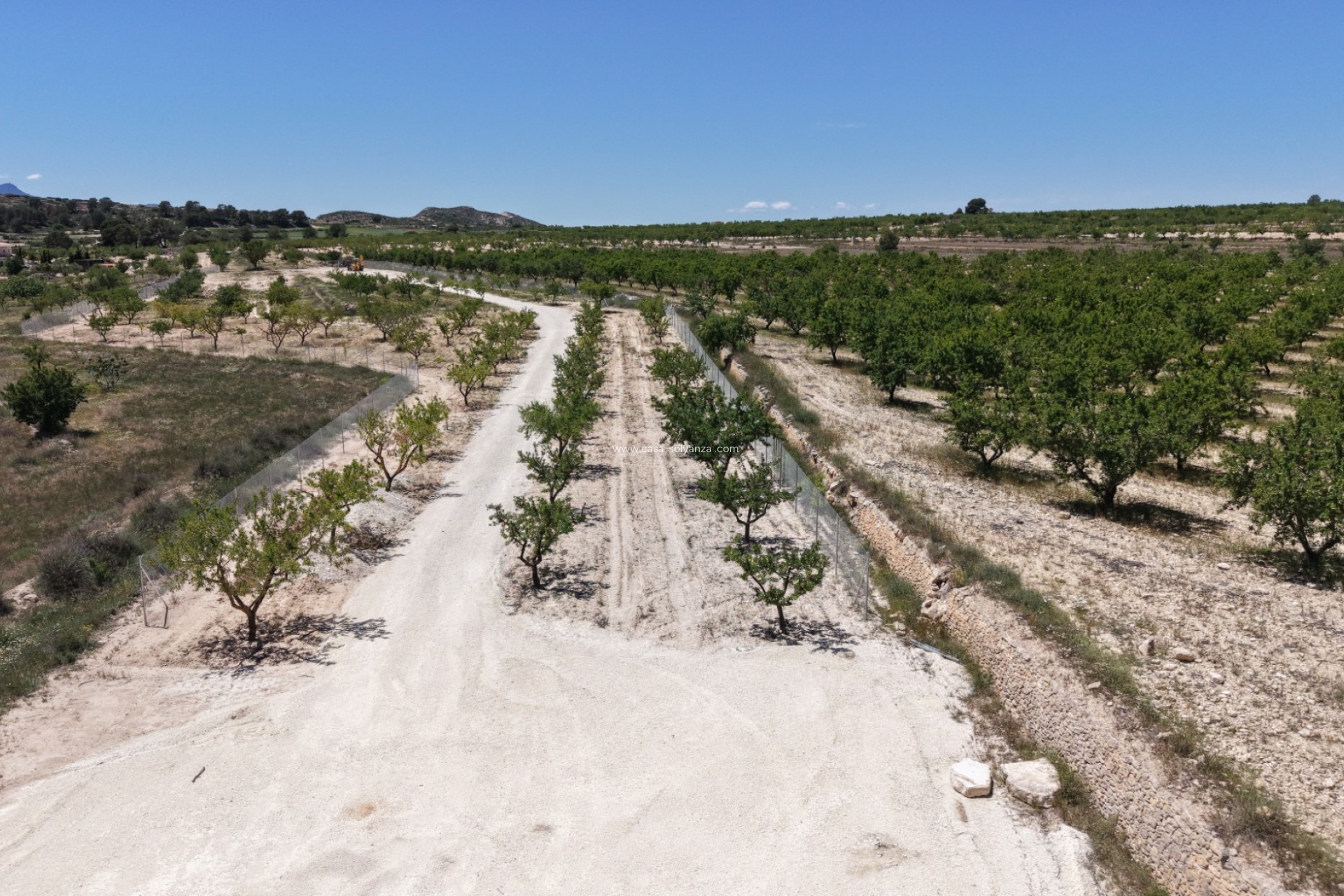 Reventa - Land - Pinoso - Inland