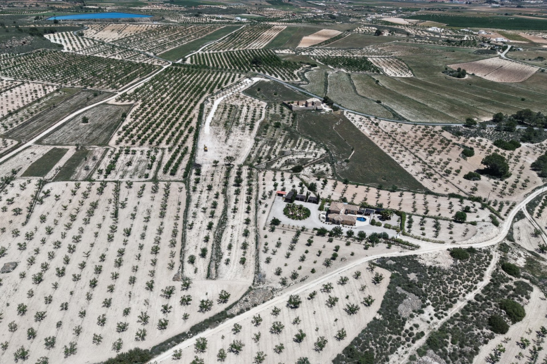 Reventa - Land - Pinoso - Inland