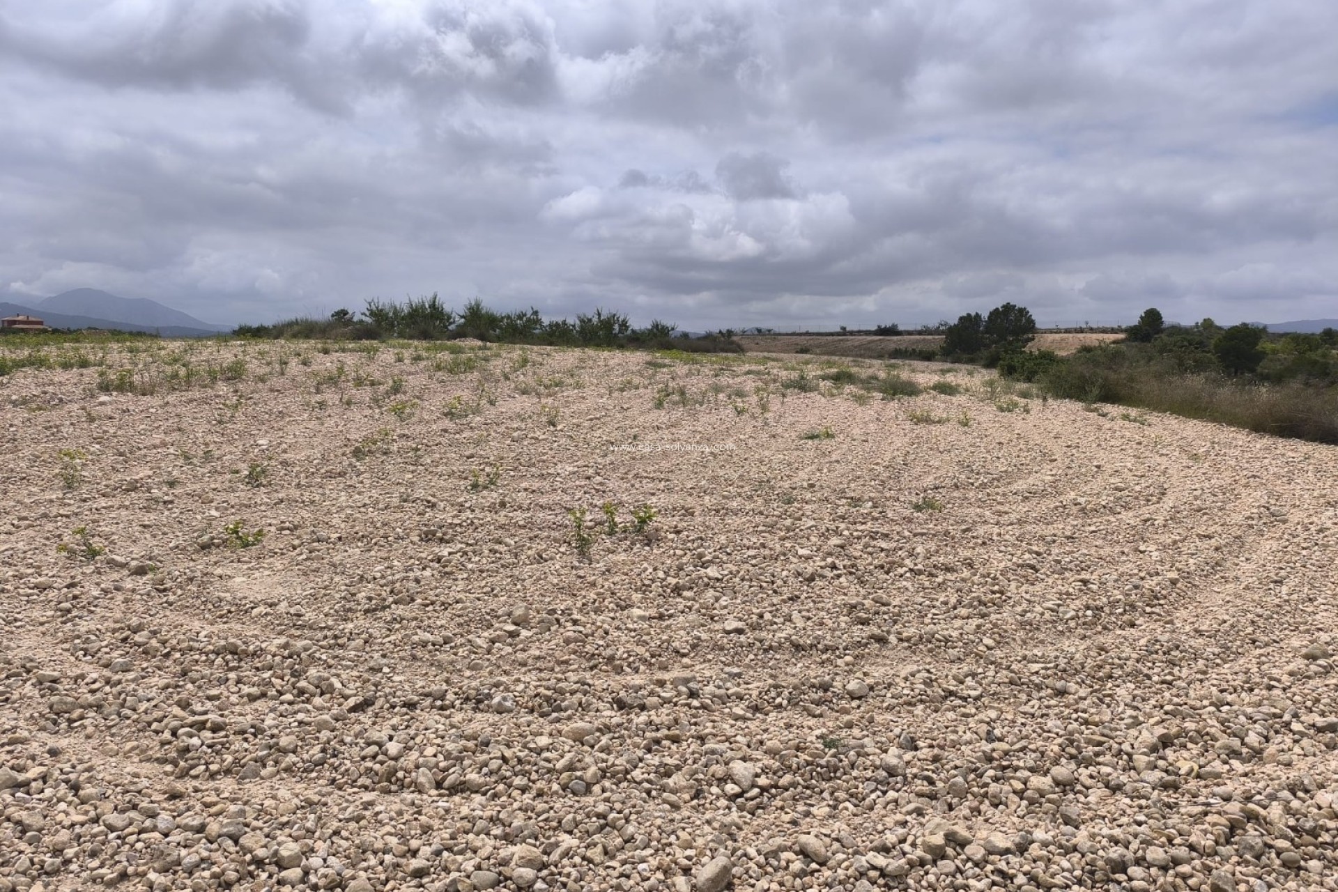 Reventa - Land - Pinoso - Inland