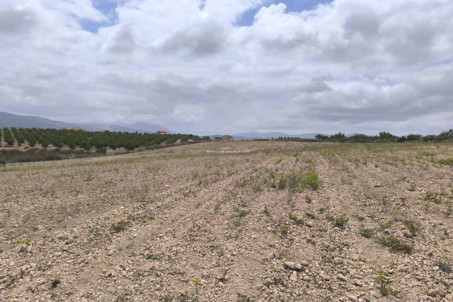 Reventa - Land - Pinoso - Pinoso Centro