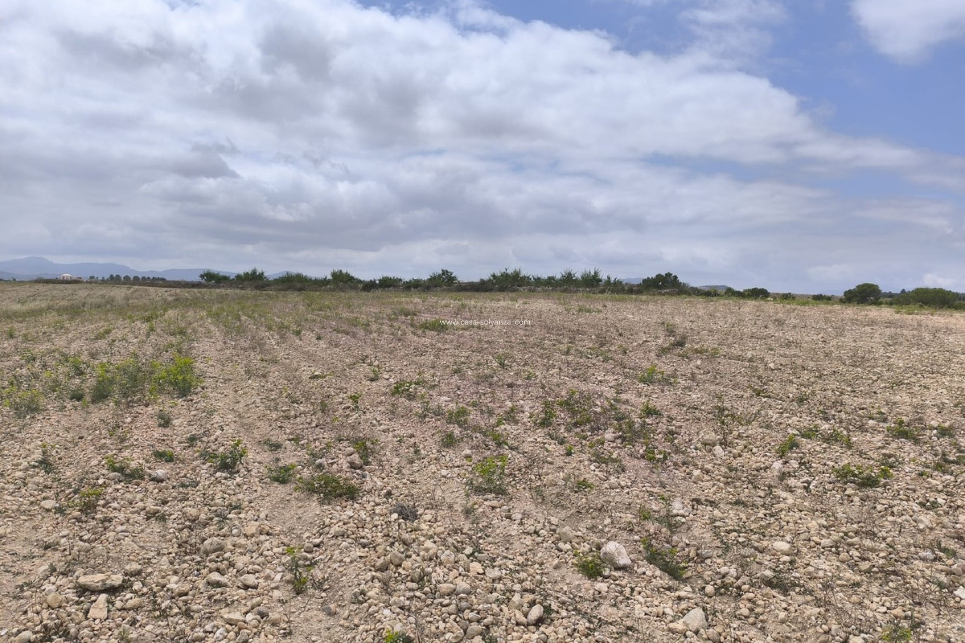 Reventa - Land - Pinoso - Pinoso Centro
