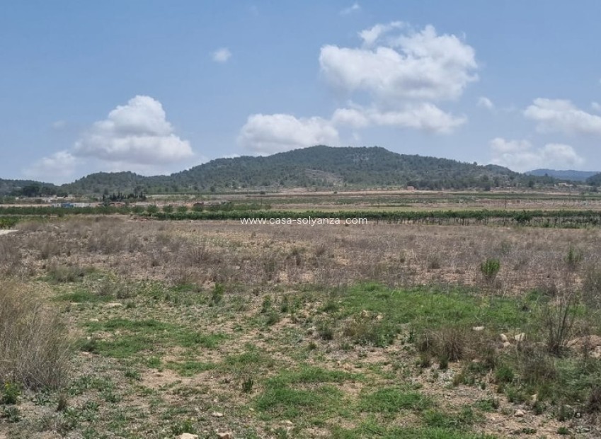 Reventa - Land - Pinoso - Pinoso Centro