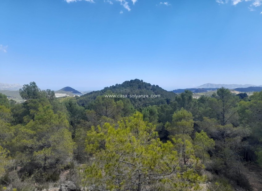 Reventa - Land - Polop - Xirles