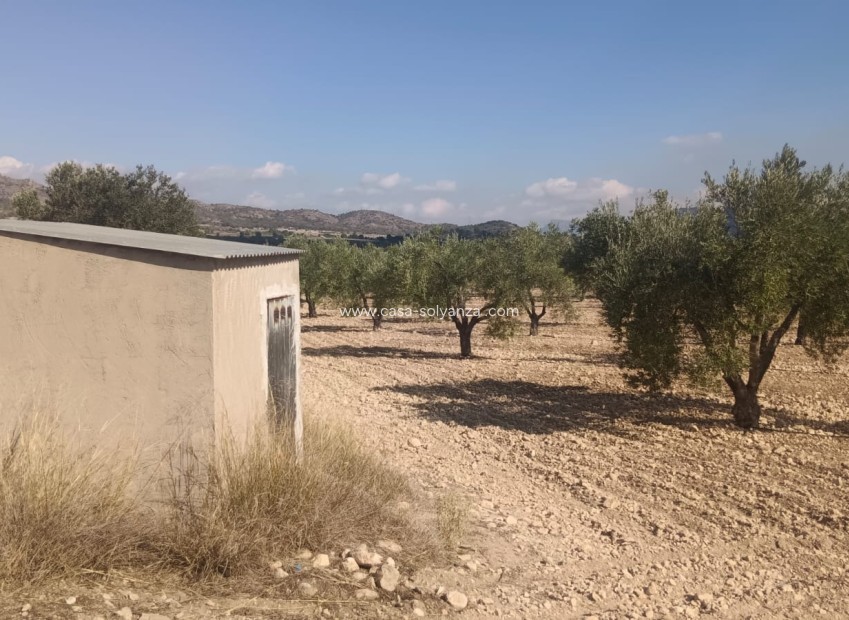 Reventa - Land - Salinas - Inland