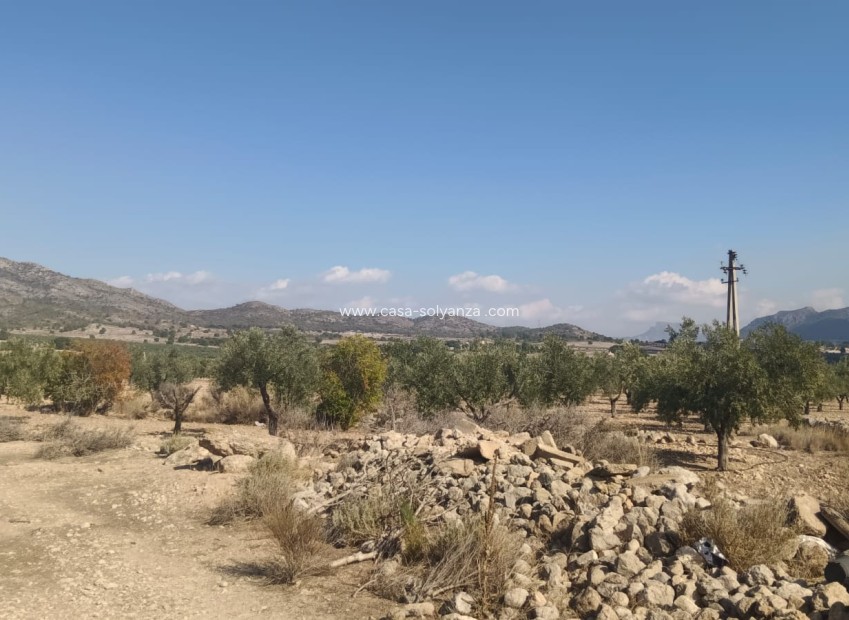 Reventa - Land - Salinas - Inland