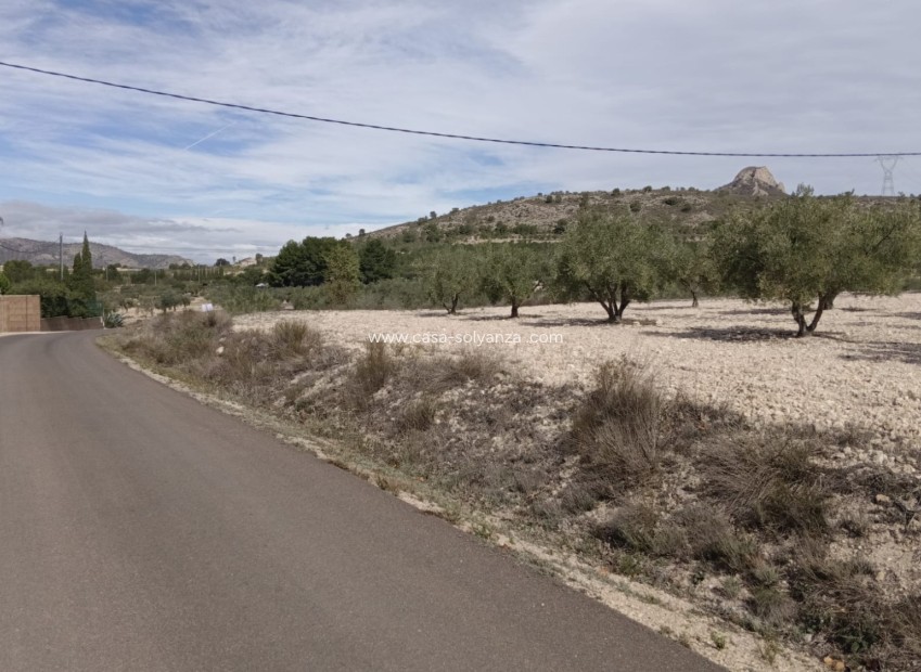 Reventa - Land - Salinas - Inland