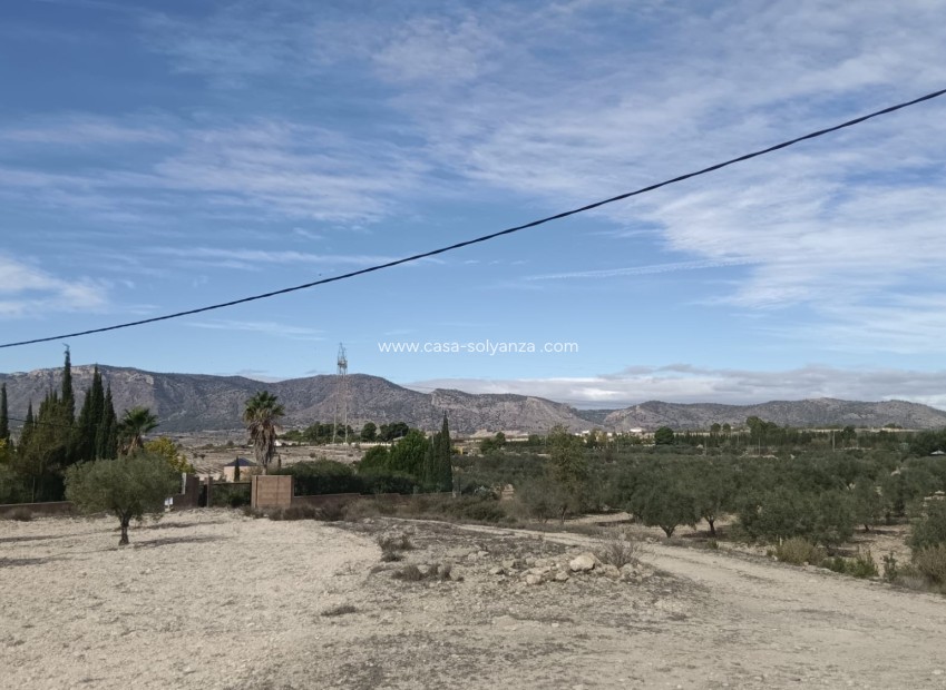 Reventa - Land - Salinas - Inland